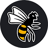 WASPs Rugby